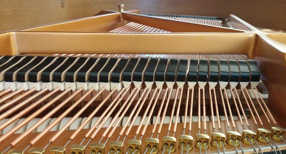 Doctor Octave's Piano Services - grand piano strings and damper detail